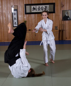 Comparing Aikido and Other Martial Arts – Aikido in Fredericksburg
